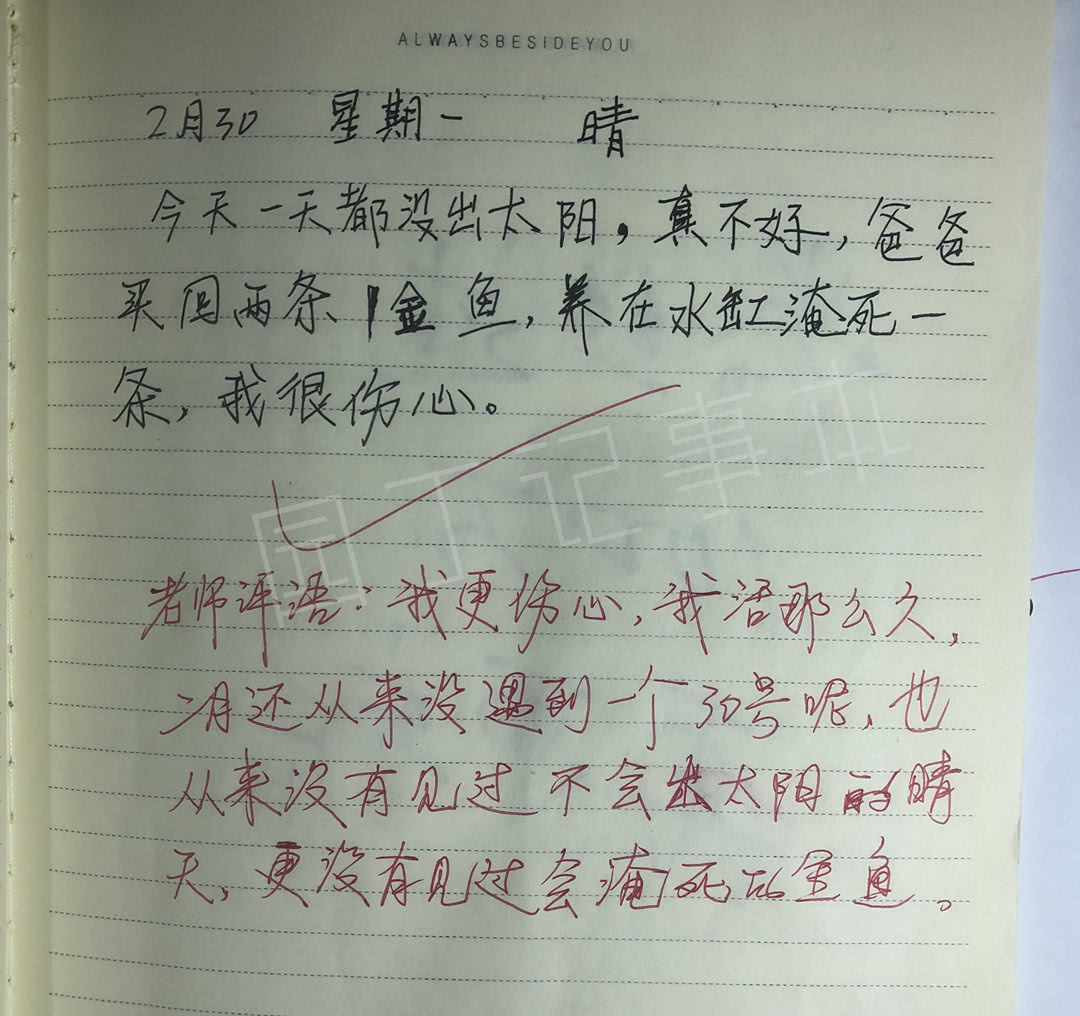 小学生造句太有才女老师笑红了耳朵妈妈把作业收藏了起来