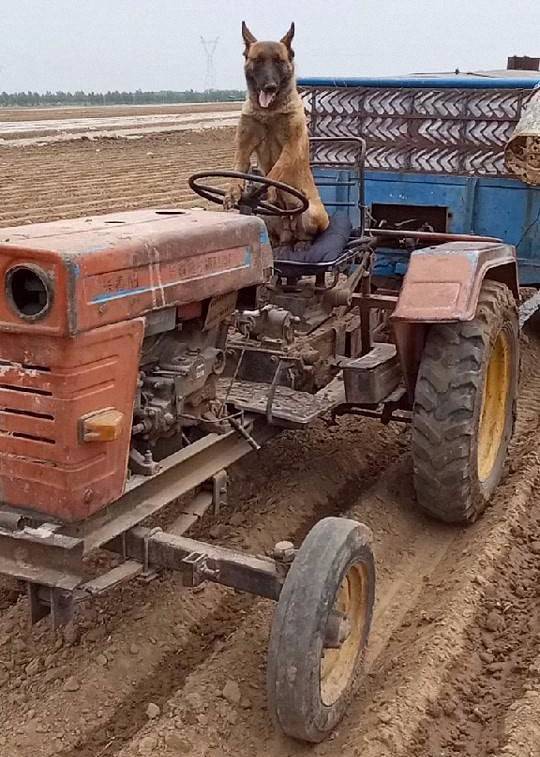 大型拖拉机的正确操作方法