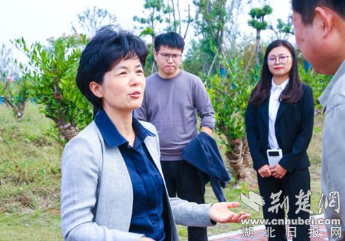 辞任仙桃市长后周文霞已在这个岗位上履新