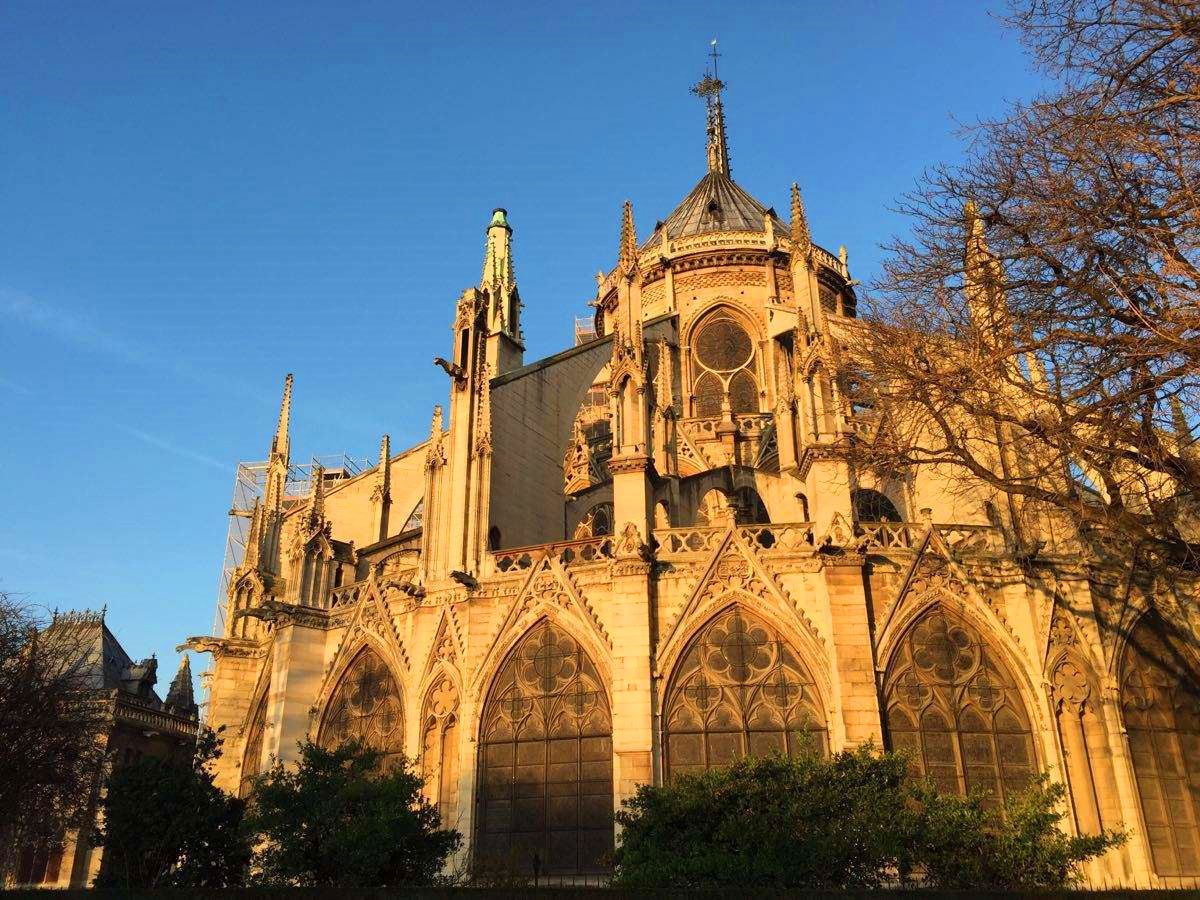 三分之二被毁灭,重建需要二十年|巴黎圣母院|大火|卡西莫多_新浪新闻