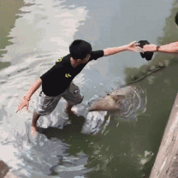 虐狗者多次扔狗下河,没想到这次遇上了热心的围观群众!超解气!