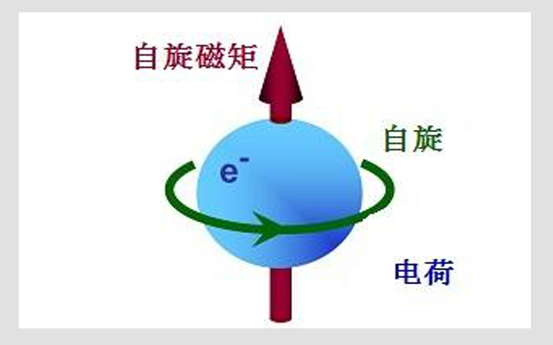 你可能理解错了电子的自旋并不是自转电子也没有绕原子核转动