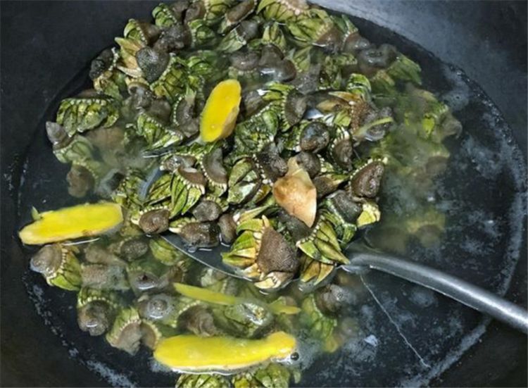 这种海鲜很少人知道,市面上更是难买到,肉质鲜嫩,味道棒