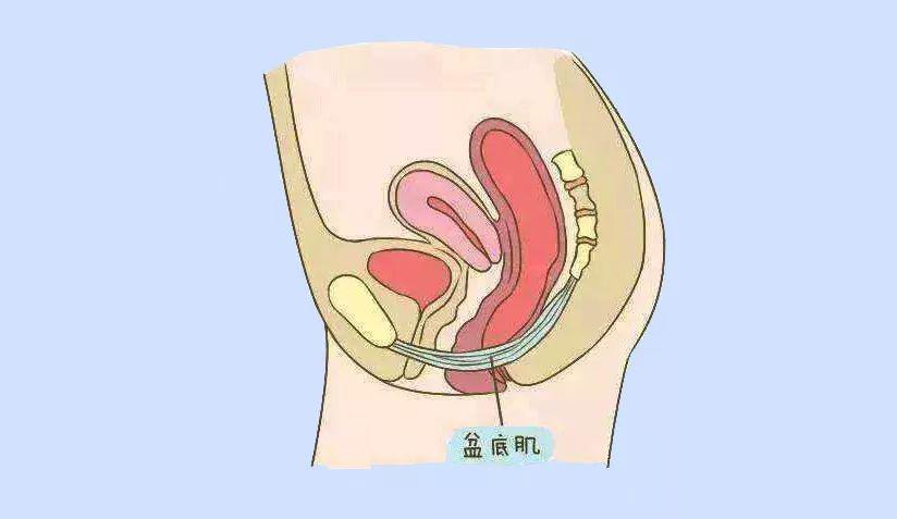 50的女性产后会患上这个病怎么治疗恢复快