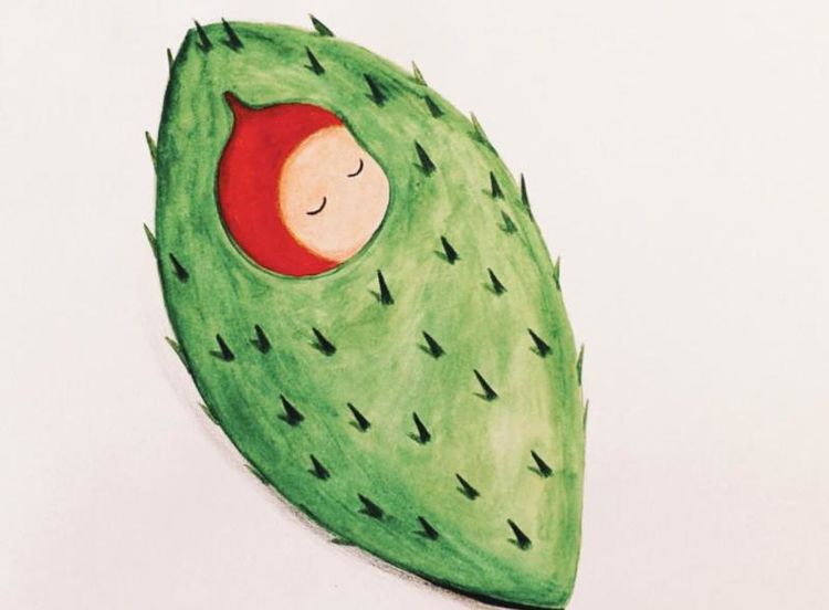 靠动物来传播种子的植物一种常见中药苍耳你们当地叫什么