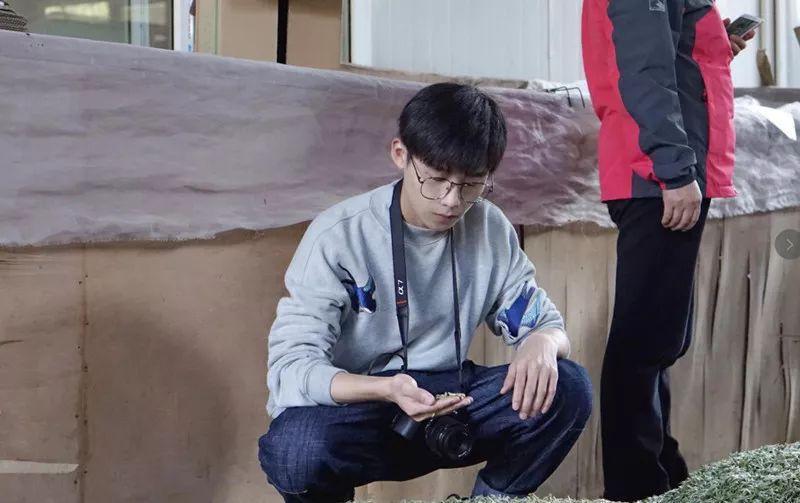 徐黄涛|茶叶星球的神秘来使