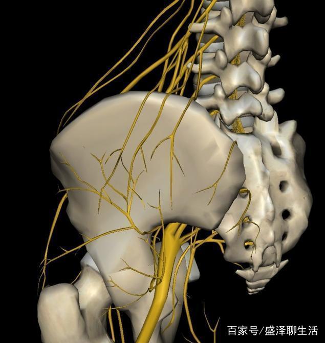 大腿和小腿神经痛是怎么回事,该如何治疗?看完心里有数了!