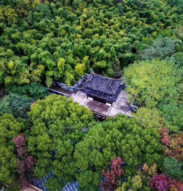慈溪|达蓬山|河头_新浪新闻