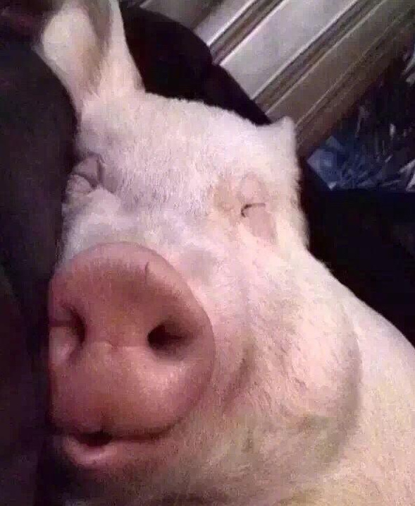 搞笑:我爸刚学会微信,太好笑了