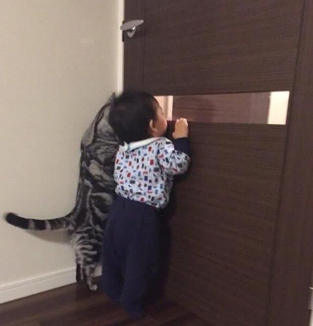 喵星人陪小主人一起趴在门缝偷看主人做饭背影又好笑又有爱