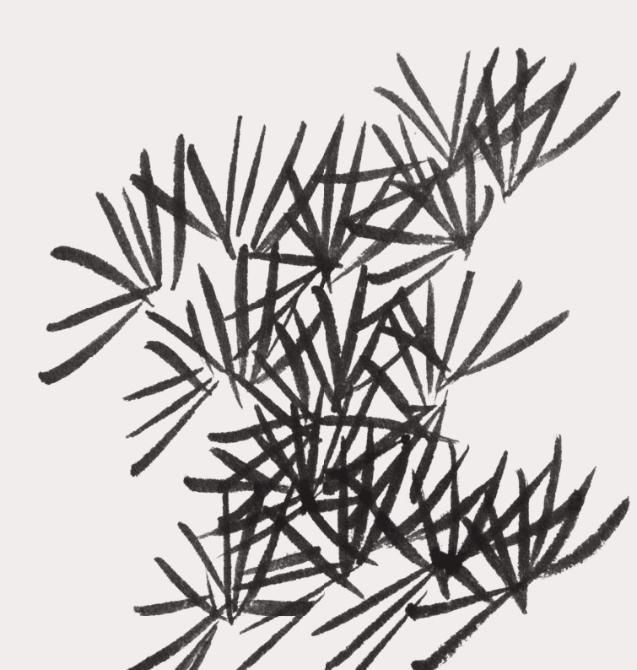 点叶法夹叶法针叶法运用时需要注意这几点才能将树叶画好