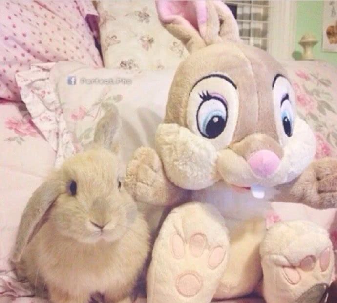 建议大家:这才是"00后都爱用的背景图"!初中生表示老了!