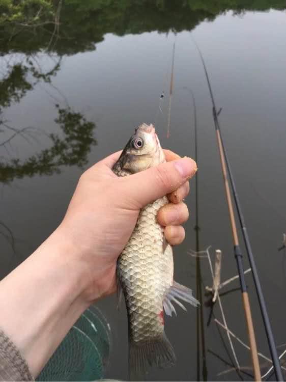 自己非常爱钓鱼,但是老婆不让钓该怎么办?