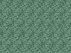 来来来,3d动态图片来了,还不快试试自己的眼力