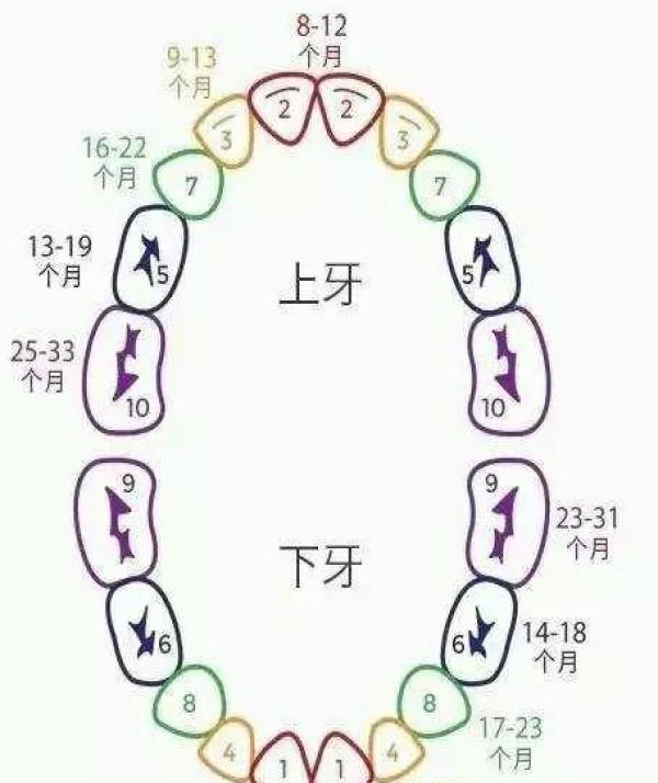 妈咪课堂宝宝长牙期妈妈需要注意些什么你们都get到了吗