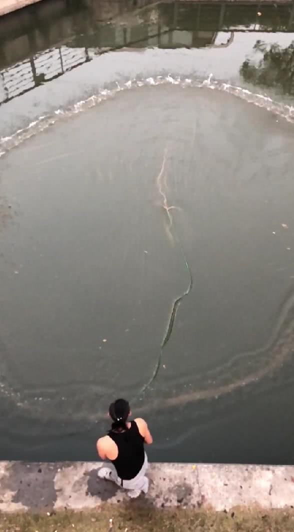 抖音"撒网哥"火了,撒渔网也可以这么厉害,网友:行行出状元