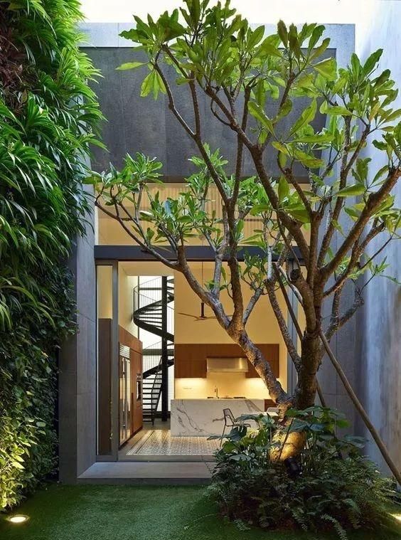 一方庭院一棵大树钢筋混凝土因你的柔美才更显我的阳刚