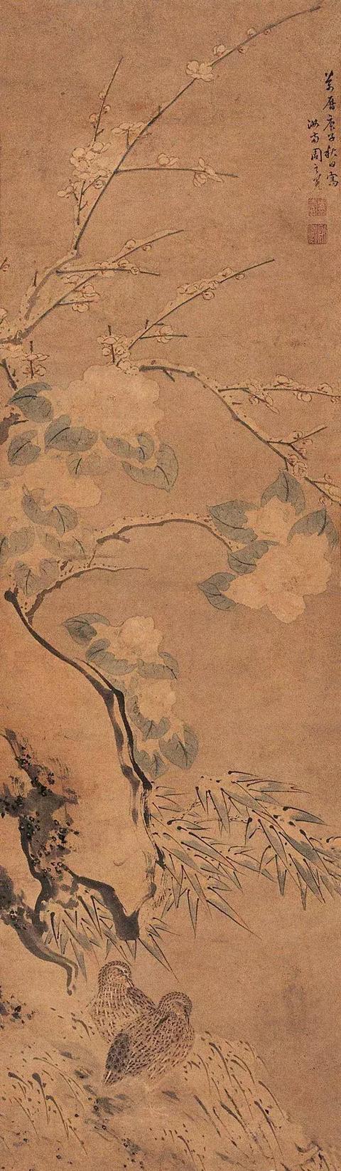 吴门画派周之冕花鸟画作品欣赏