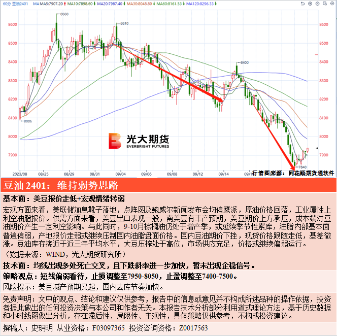 樱桃视频旧版