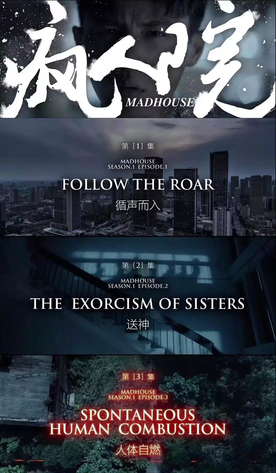 《疯人院》赶紧刷起来