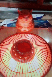 主人把取暖器放在桌上,橘猫赶紧端起小手过来烤火,这表情好享受