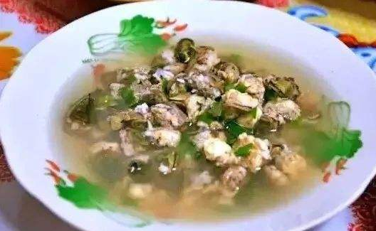 能变身三次的藤壶不仅欺负海龟连鲸鱼对它们都无可奈何