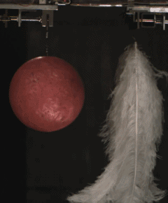 240_290gif 动态图 动图