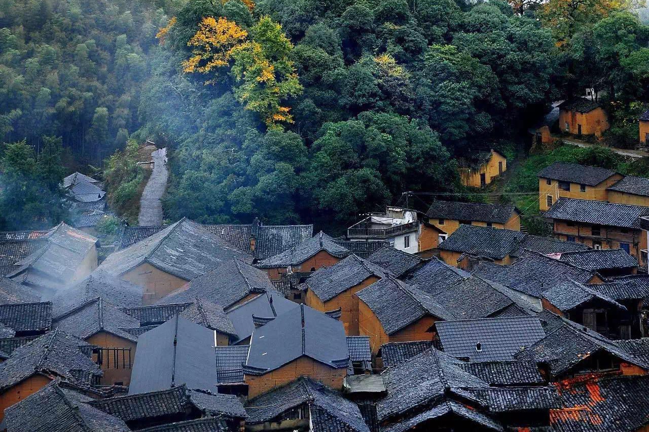 暖心!诸暨一老人上山挖笋失联 警民联动搜山获救