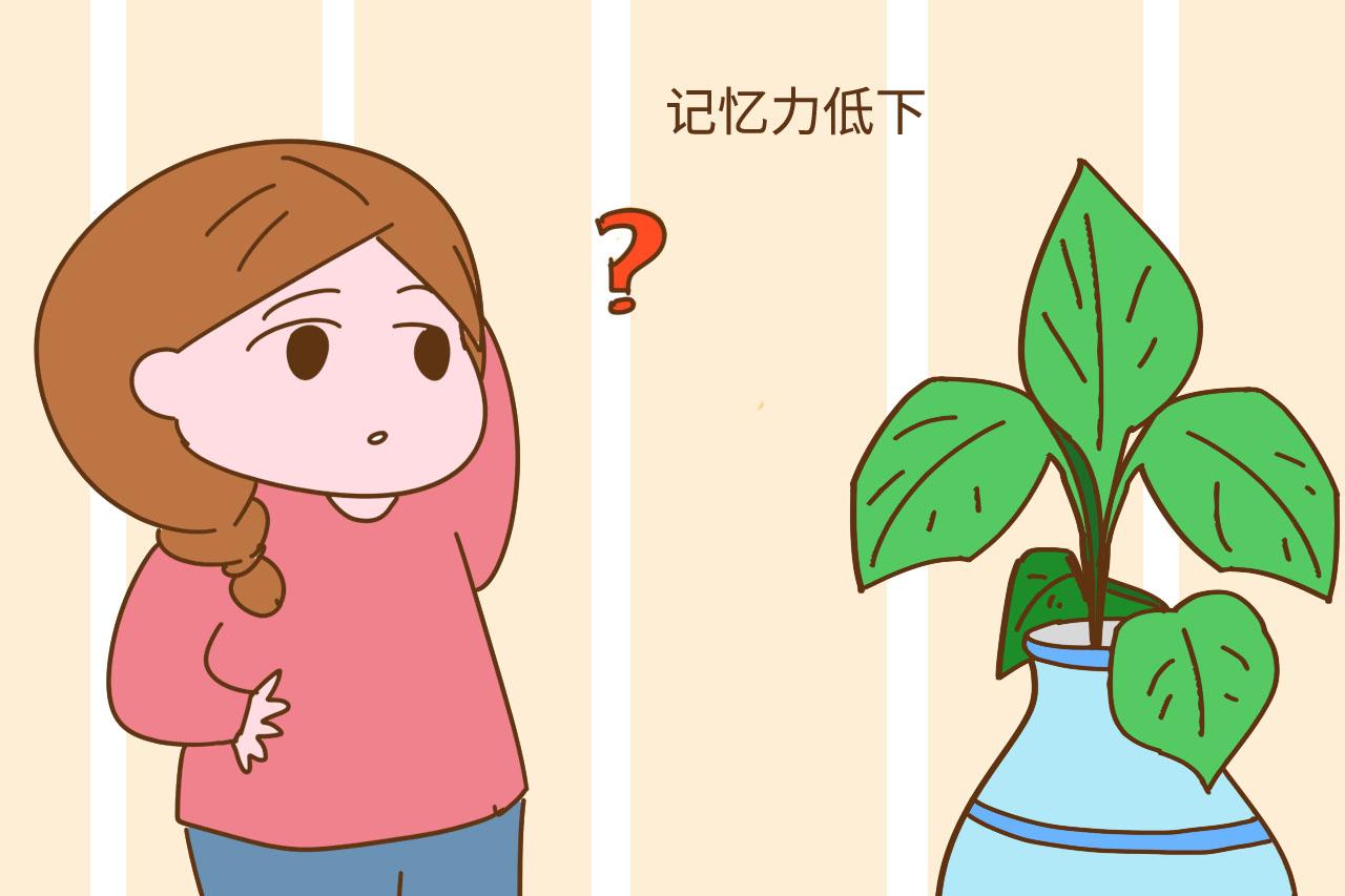 导致记忆力低下