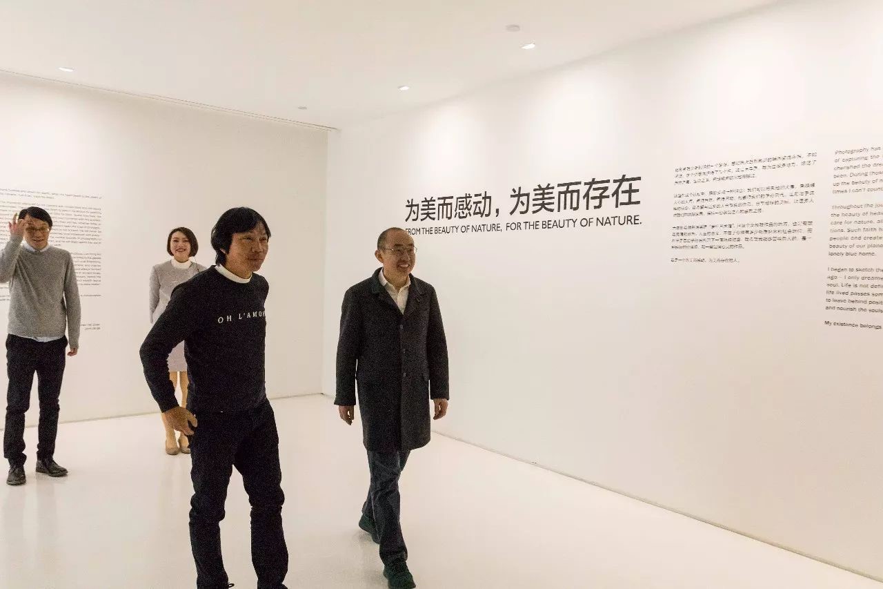 好利来|罗红|蛋糕_新浪新闻