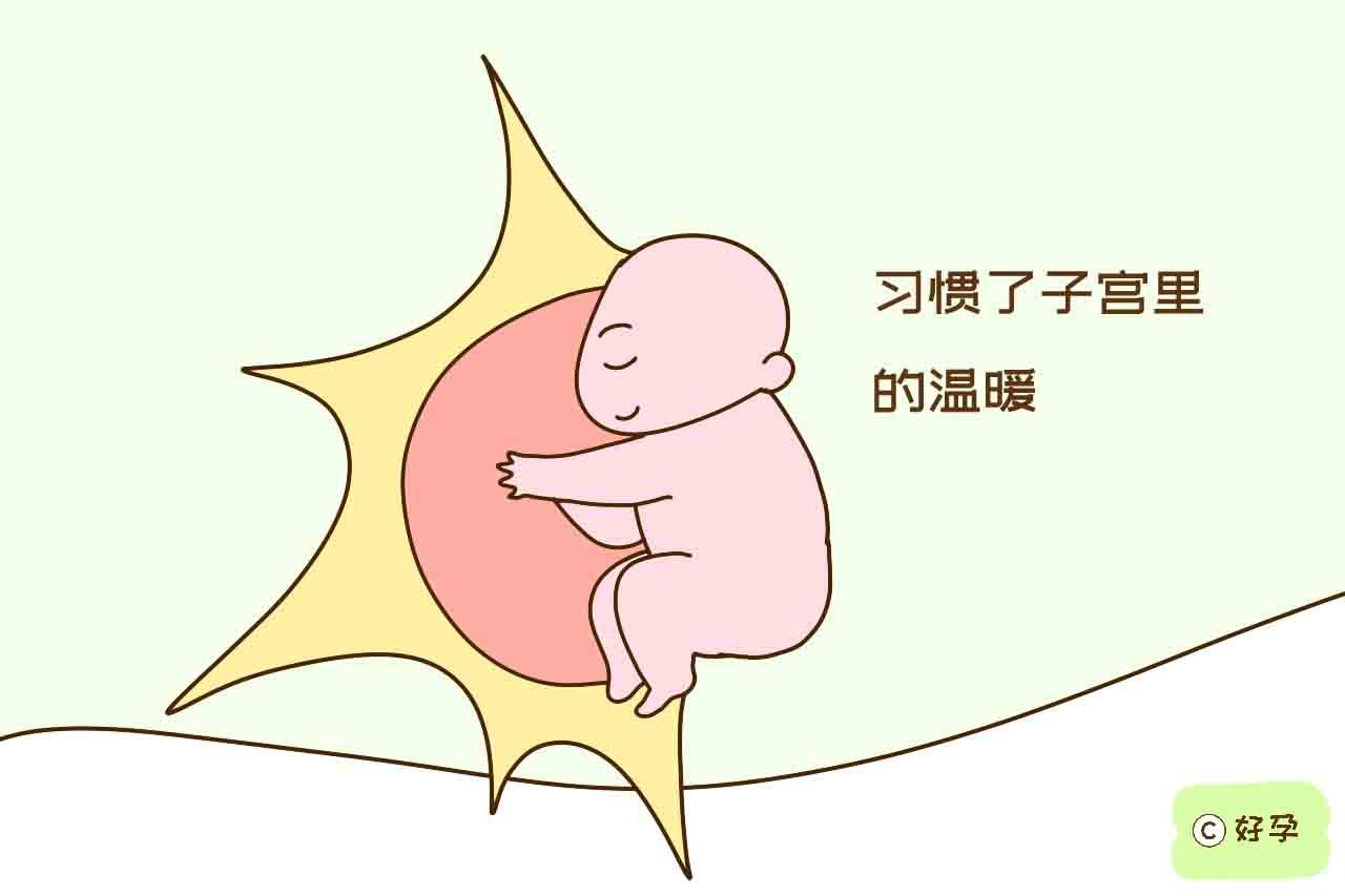 宝宝出生前,习惯了子宫里的温暖