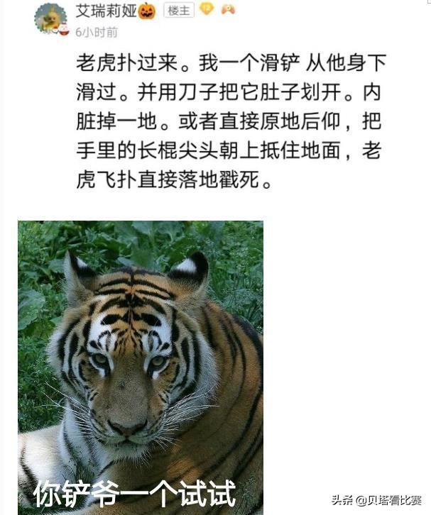 光速|艾瑞莉娅|贾克_新浪新闻