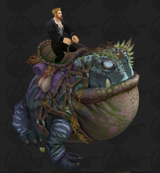 魔兽世界81达萨罗通关奖励大青蛙终于来了给美工加鸡腿