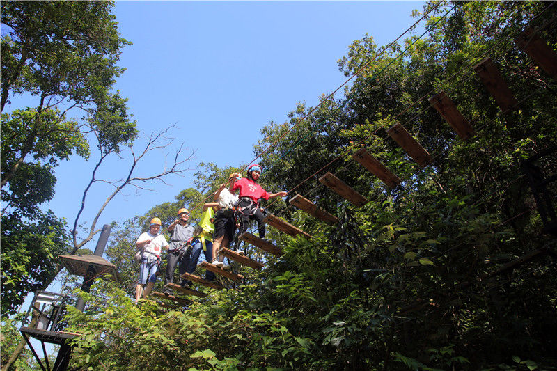 廣東遊客喜歡有氧旅遊,佛山南丹山森林項目成新寵