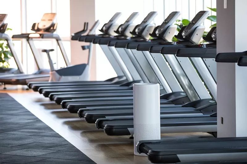 健身潮牌muscle dog,作为一家高端综合训练中心,格外注重场馆的空气