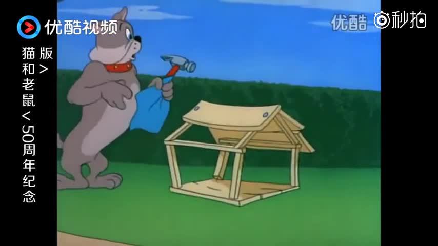 猫和老鼠:杰瑞跳上狗狗的头,汤姆拿起木板追老鼠,却砸中狗狗