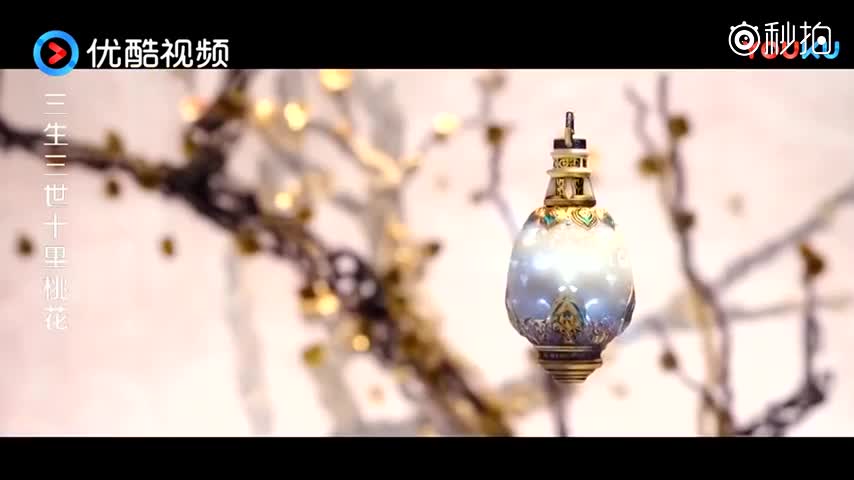 白浅想偷拿结魄灯,但是被夜华发现了,两人再为感情发生激烈争吵