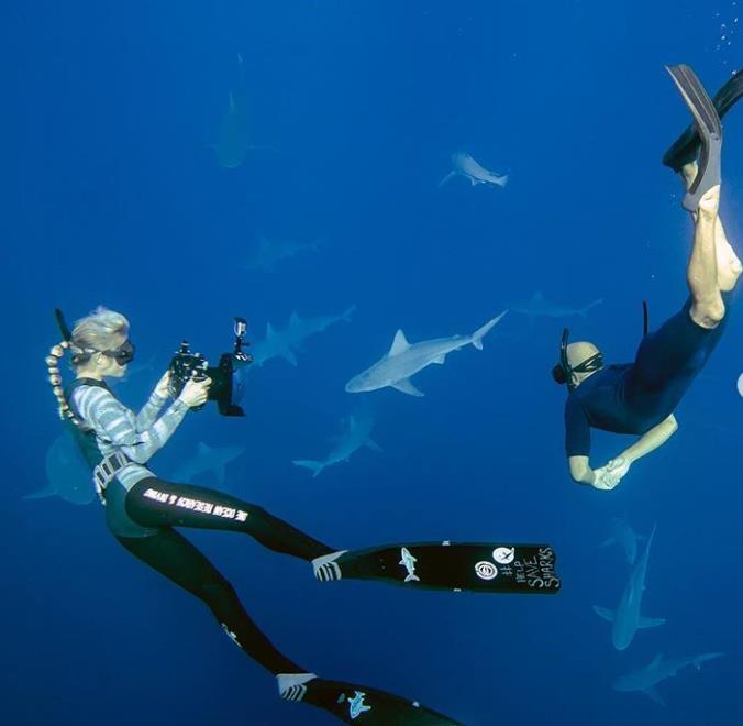 美女潜水员与夏威夷最大白鲨共游,举止亲密上演人鲨绝美画面
