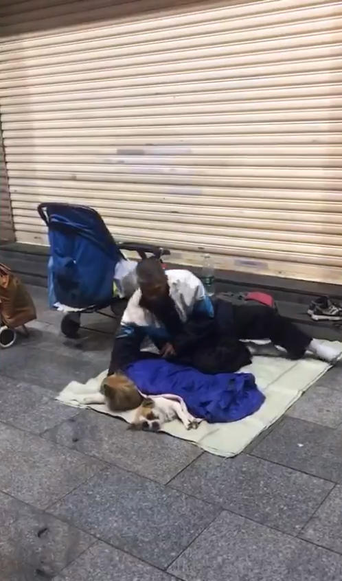 流浪汉带着两条狗露宿街头网友上去询问原因得知后内心感动
