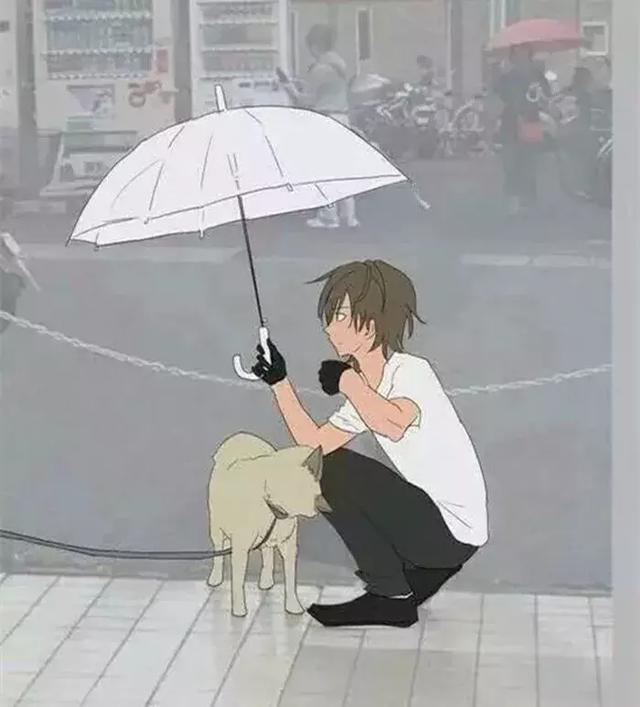 日本网友见到雨中的柴犬，主动上前撑伞挡雨，路人做成感人漫画|小哥哥|狗狗|撑伞_新浪新闻