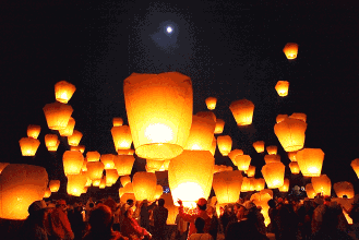 329_220gif 动态图 动图