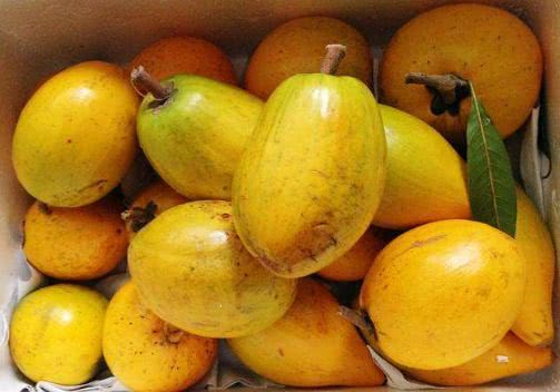 对女人最好的水果晚上当零食吃几个淡化雀斑延缓皱纹生长