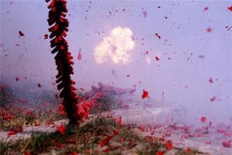 古代为什么称“放鞭炮”为“放爆竹”？历史原因鲜为人知|爆竹|放鞭炮|山魈_新浪新闻