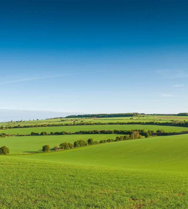 0聊天背景图片大全 绿色护眼也适合做壁纸!__财经头条