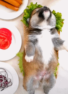 gif搞笑爆图: 活了这么多年才知道车标是这样装上去的