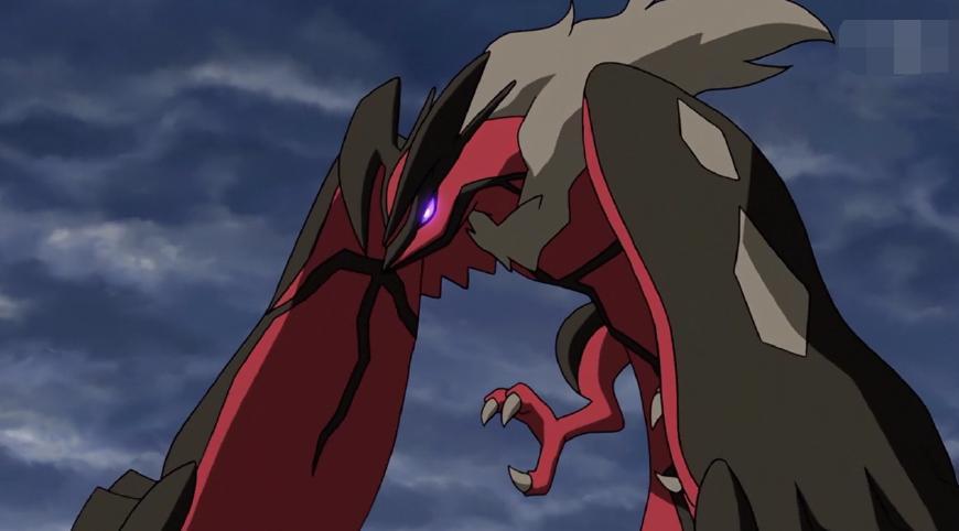 飞行系神兽神奇宝贝有11只,第5只给小智留了根毛,最后1只最强?