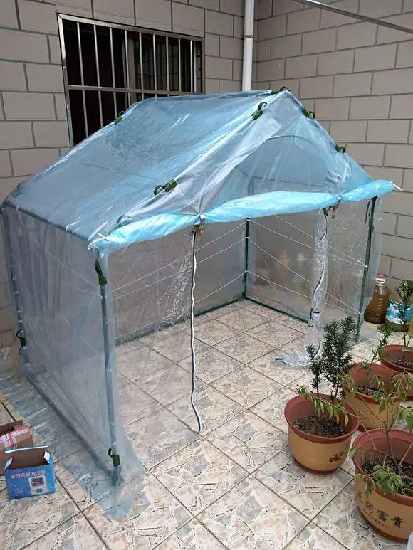 铁丝加塑料袋,秒变迷你小温室,再冷的天花也能长!