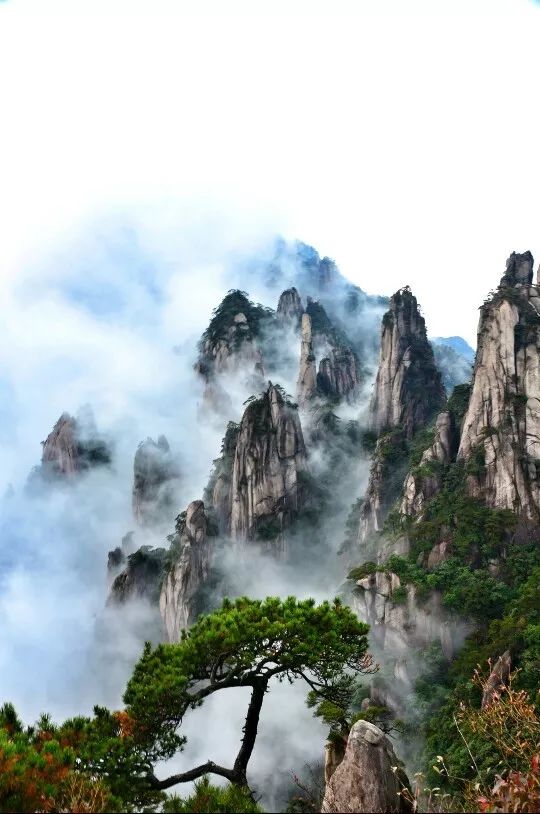 三清山,那绰约挺拔的岩峰,白雾缠绕和天蓝辉映拨人心弦