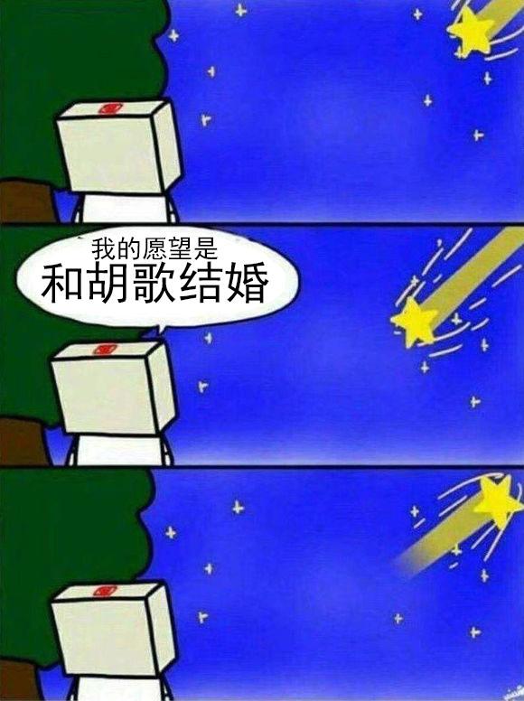 搞笑图片向流星许愿流星又折回去的表情包