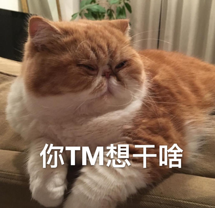 表情包:好困,可以不去上班吗?|上班|表情包_新浪新闻